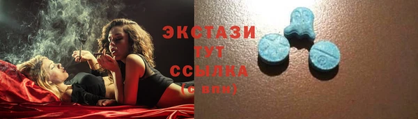 соль ск Пересвет