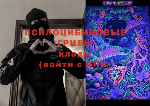соль ск Пересвет