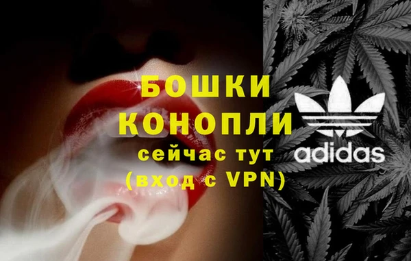 PSILOCYBIN Осинники