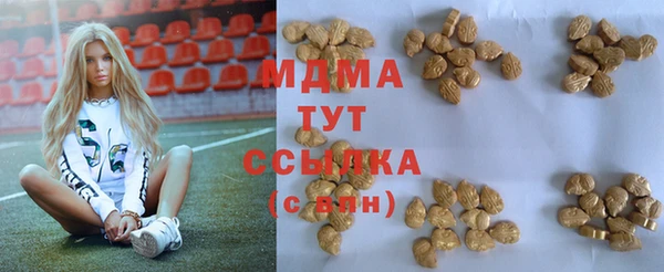 соль ск Пересвет